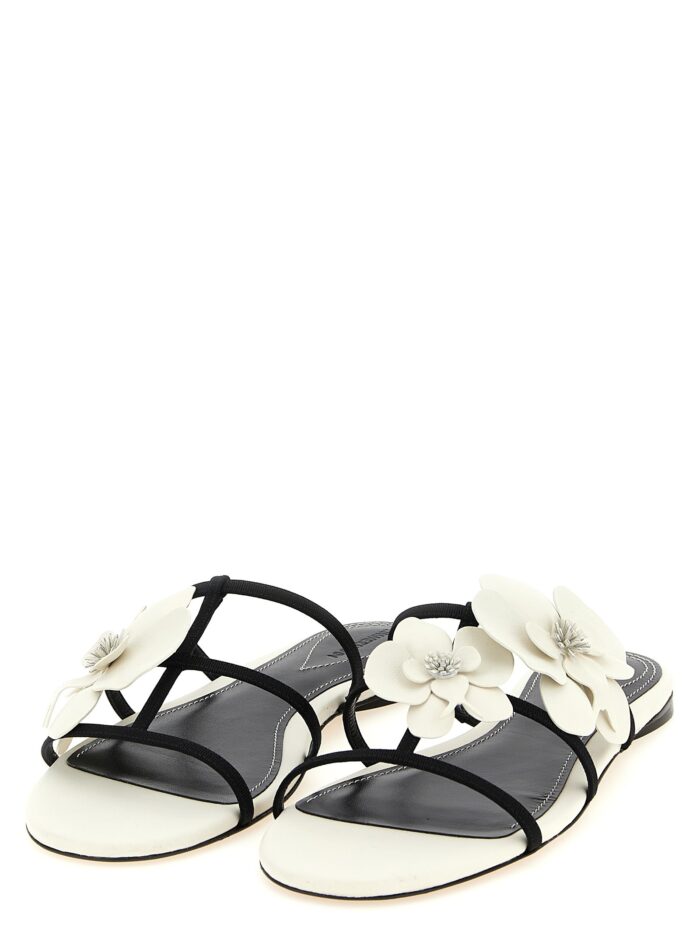 ZIMMERMANN 'Orchid' Slides
