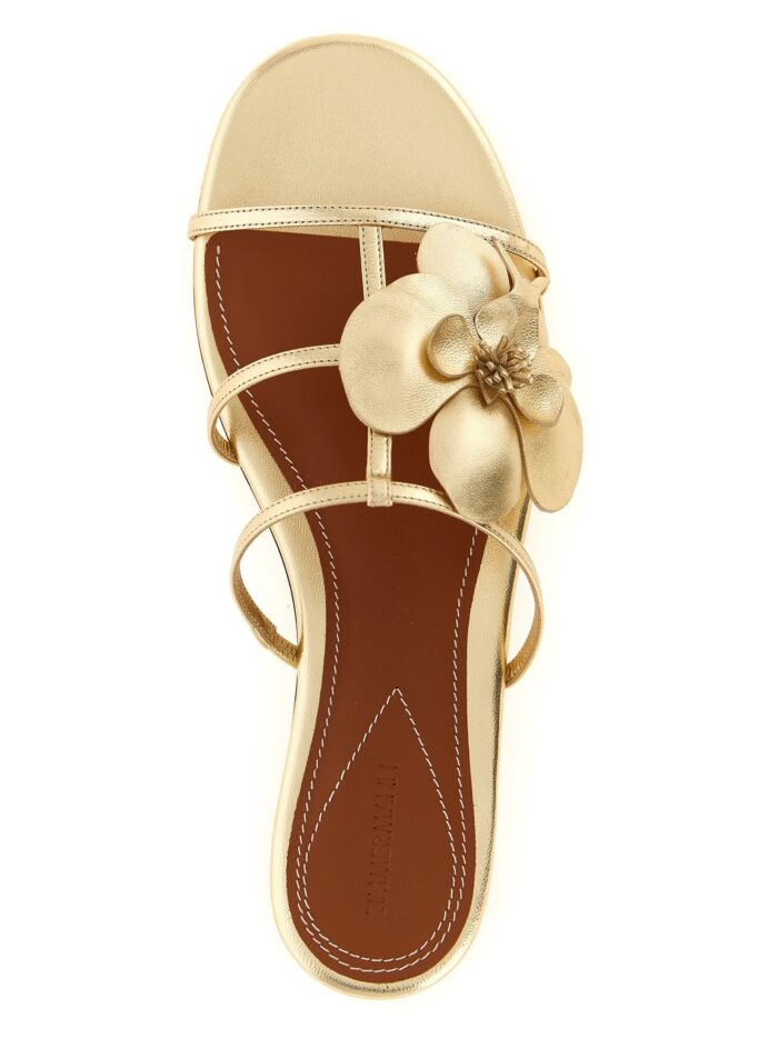 ZIMMERMANN 'Orchid' Slides