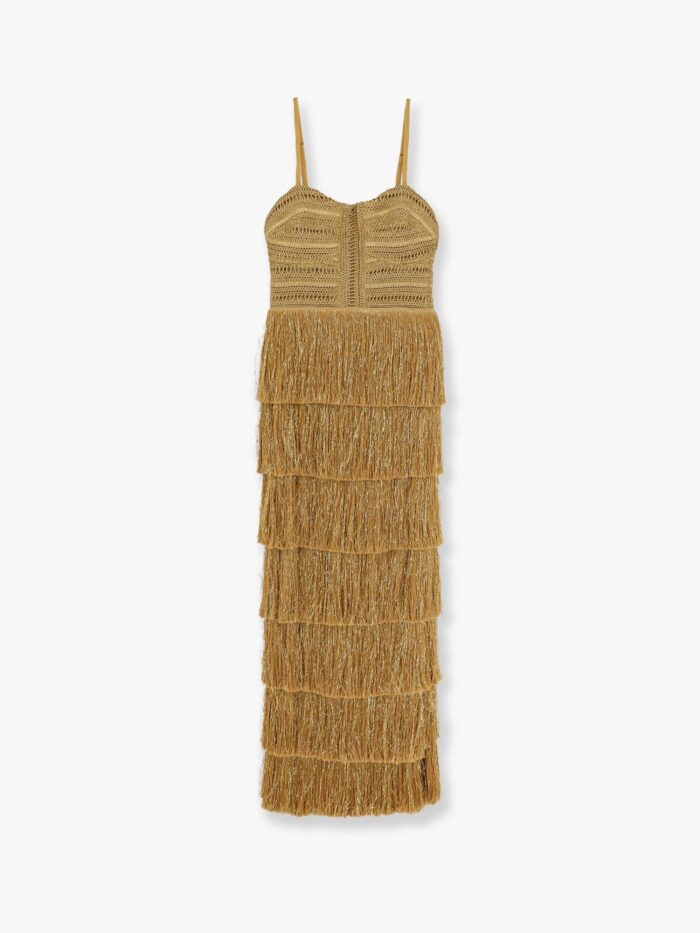 PATBO Long Dress With Embroidered Courset And Fringes