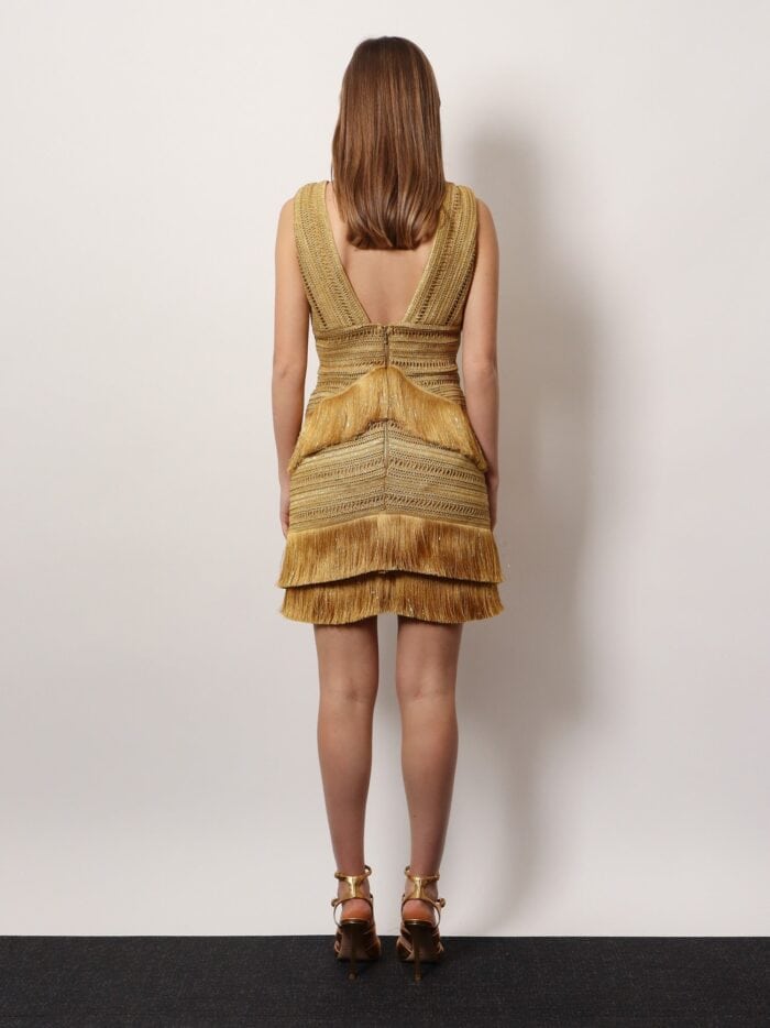 PATBO Pampas Mini Dress With Embroidery And Fringes