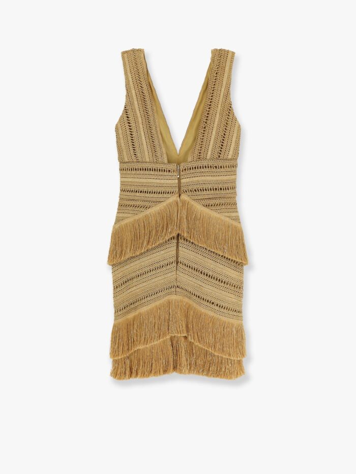 PATBO Pampas Mini Dress With Embroidery And Fringes