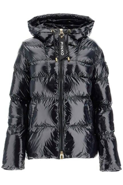PINKO Hooded Down Jacket In Crystal Nylon