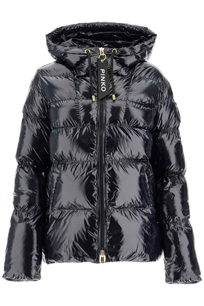 pinko hooded down jacket in crystal nylon PINKO Hooded Down Jacket In Crystal Nylon