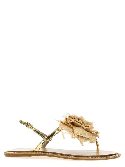 LE SILLA 'Rose' Sandals