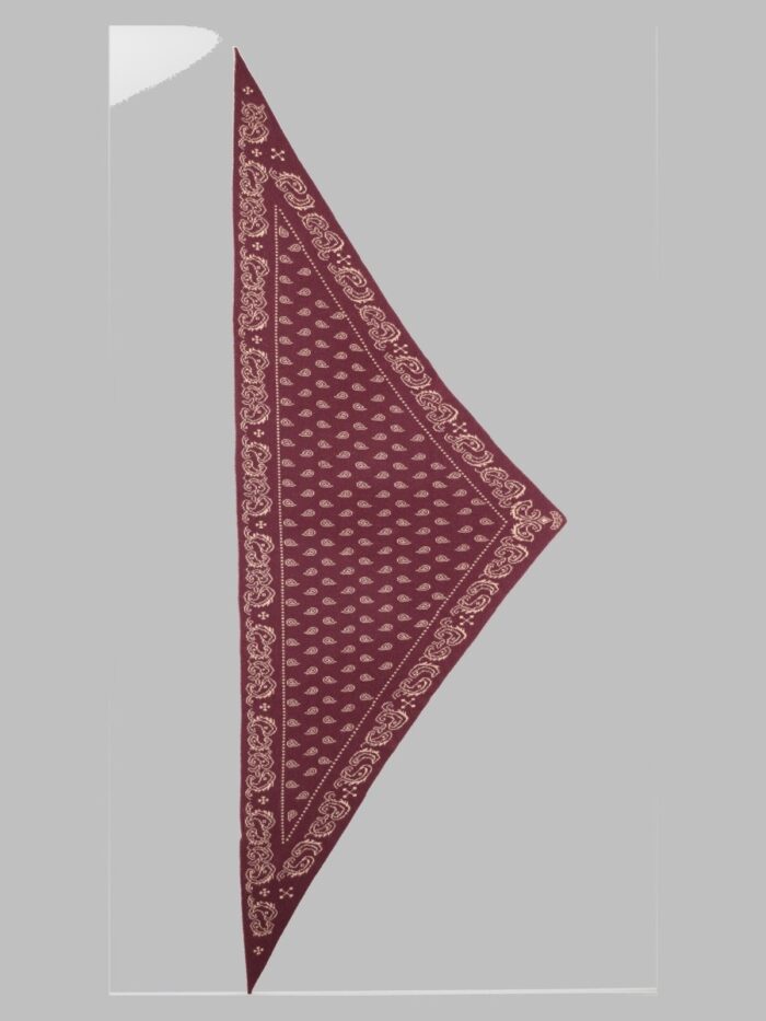 guest in residence sciarpa "the wild rag" con motivo paisley GUEST IN RESIDENCE Sciarpa "The Wild Rag" Con Motivo Paisley