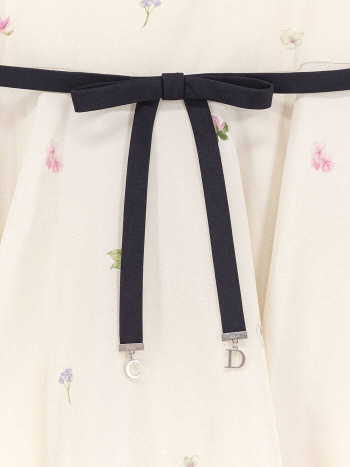 Dior Silk Dress With Multicolor Print