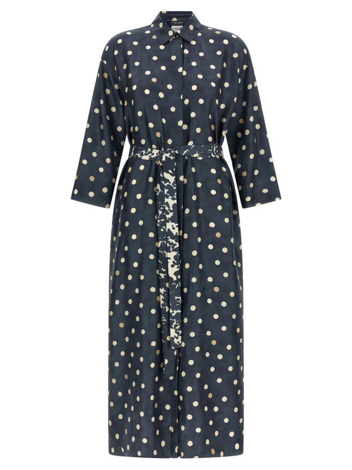 MAX MARA 'S 'SmmLeva' Dress