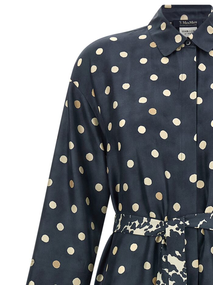 MAX MARA 'S 'SmmLeva' Dress