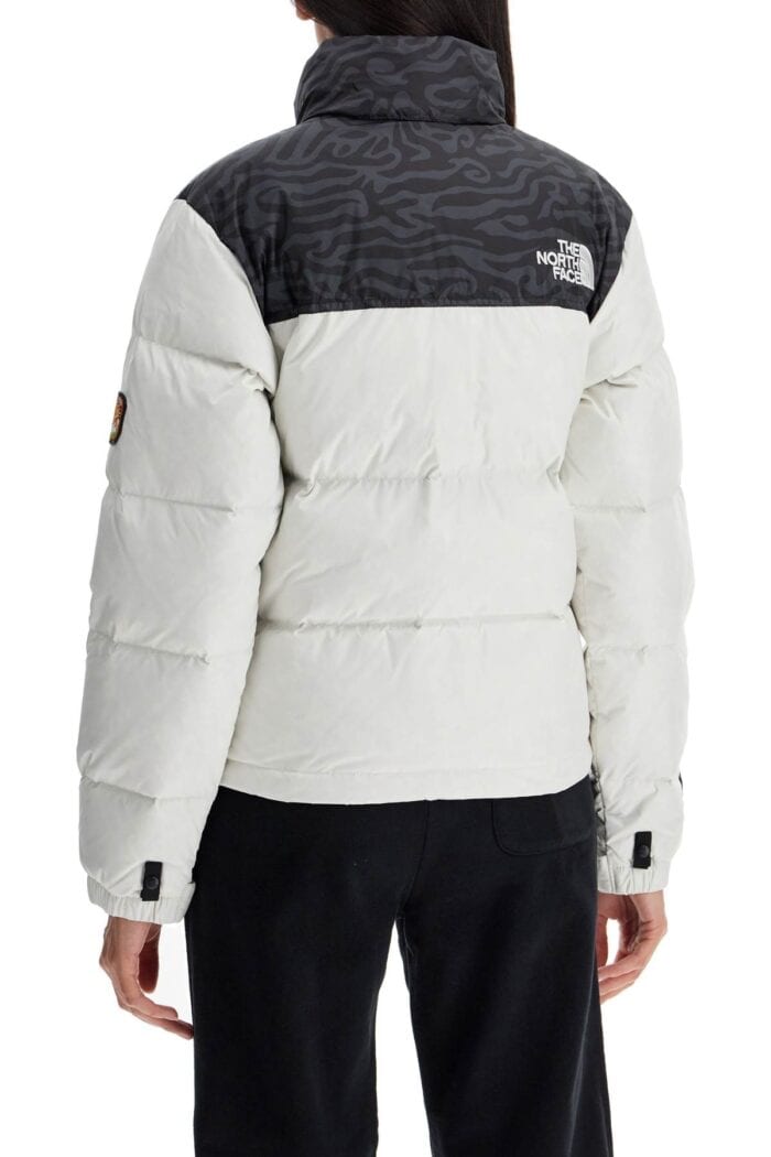 THE NORTH FACE 1996 Retro Nuptse