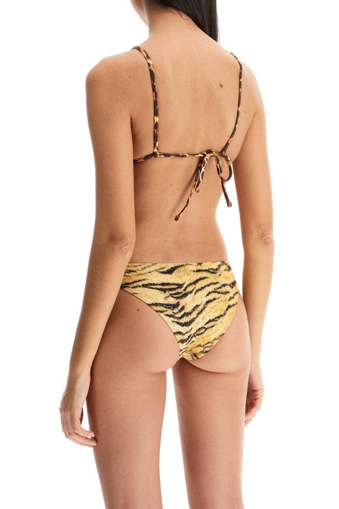 TROPIC Of C Equator Bikini Top