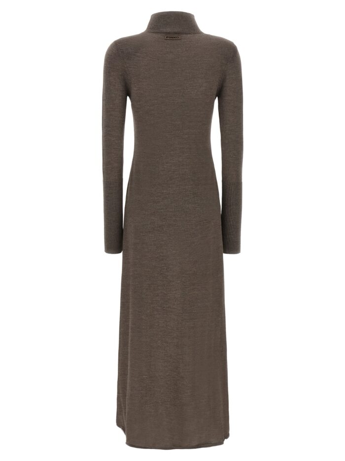 Pinko Turtleneck Dress