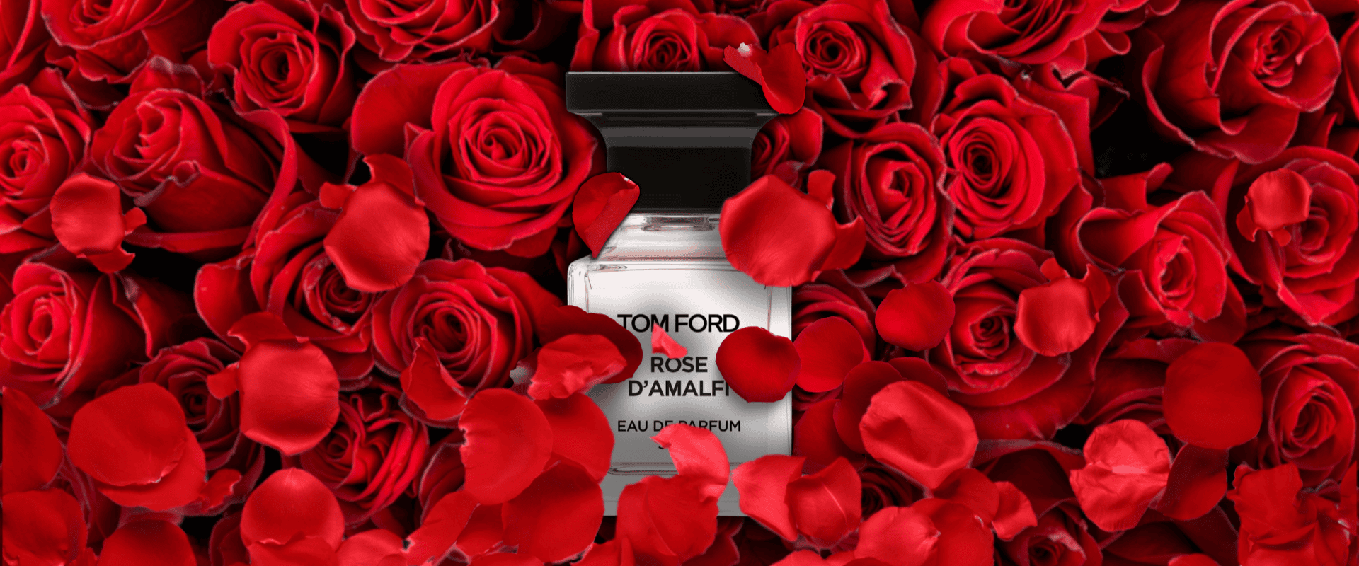 Tom Ford Rose d’Amalfi perfume bottle surrounded by red roses and petals — luxurious floral fragrance for women. THE WISHLINE – Women’s Parfum.